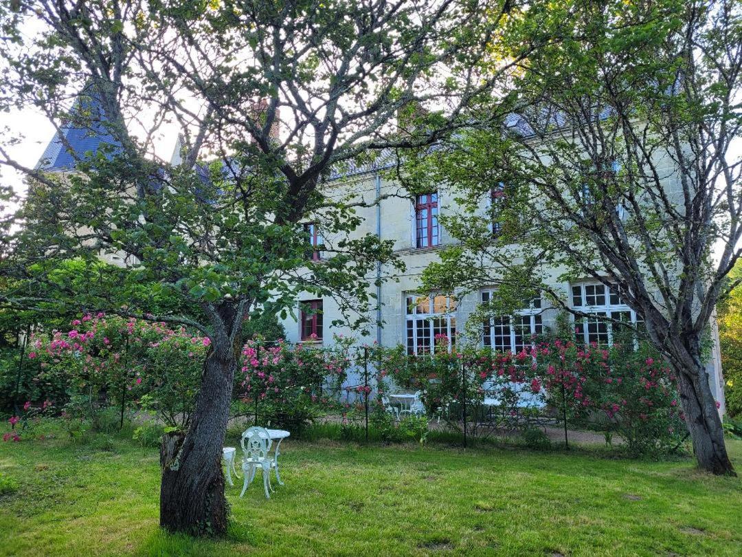 Castel Saint Laurent Langeais Exterior foto