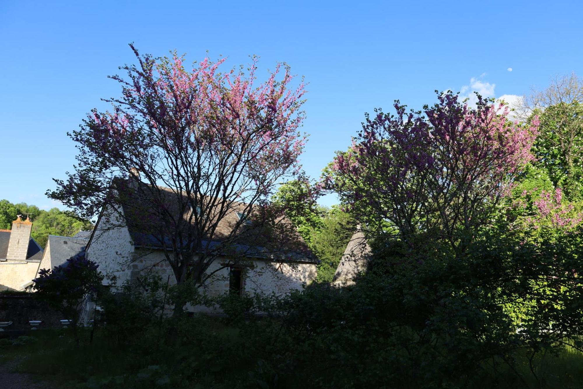 Castel Saint Laurent Langeais Exterior foto